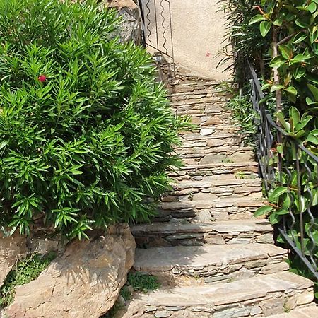 A Casetta Di Santa Maria Furiani Εξωτερικό φωτογραφία